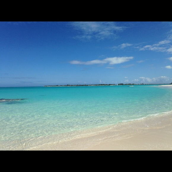 Meet your Posher, Kelly - Picture 1 of 1